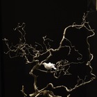 <p>Elisa Morucci - "Fede"</p>